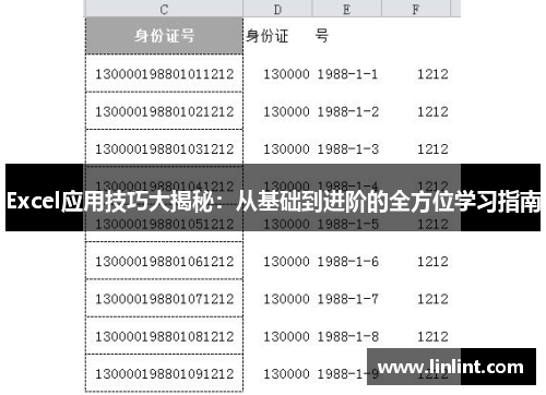 Excel应用技巧大揭秘：从基础到进阶的全方位学习指南